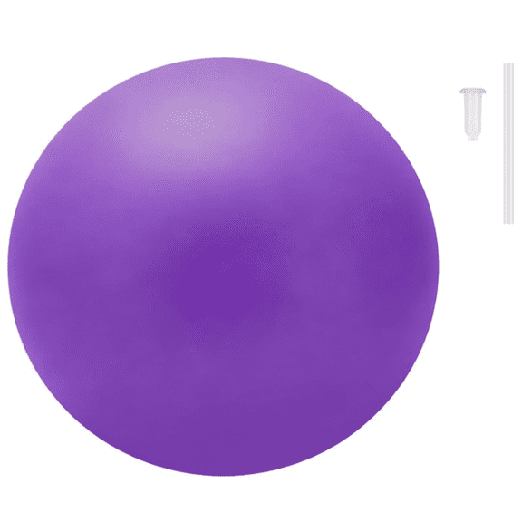 Small Pilates Ball 9 Inch Small Exercise Ball Mini Workout Yoga Balls for Gym Yoga, Core Training, Fitness, Workout, Stability, Improves Balance