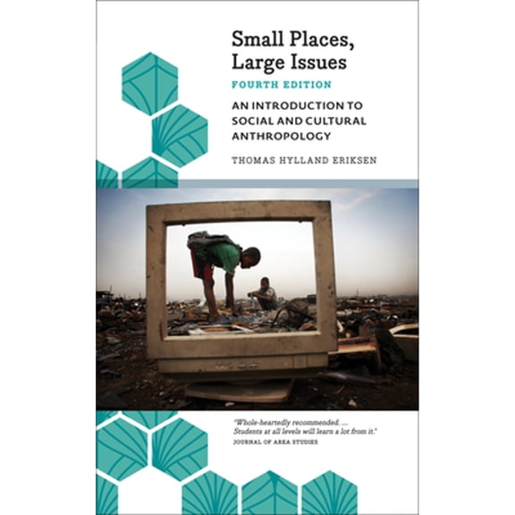 Pre-Owned Small Places, Large Issues: An Introduction to Social and Cultural Anthropology (Anthropology, Culture and Society)