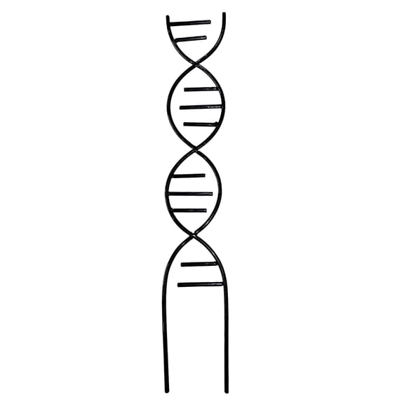 Small Plant Trellis for Climbing Plants Metal DNA Shape Garden Potted Trellises Support Stake for Indoor Houseplants Decorative Vine Support Garden Gifts