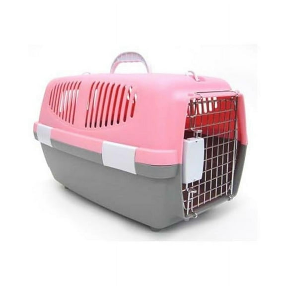 Small Plastic Carrier in Pink