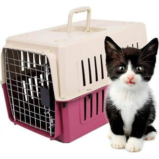 Cat clearance cage walmart