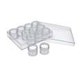 thumbnail image 1 of Small Plastic Storage Containers 12 Pack with Lid for Craft and Jewelry Storage, 1 of 6