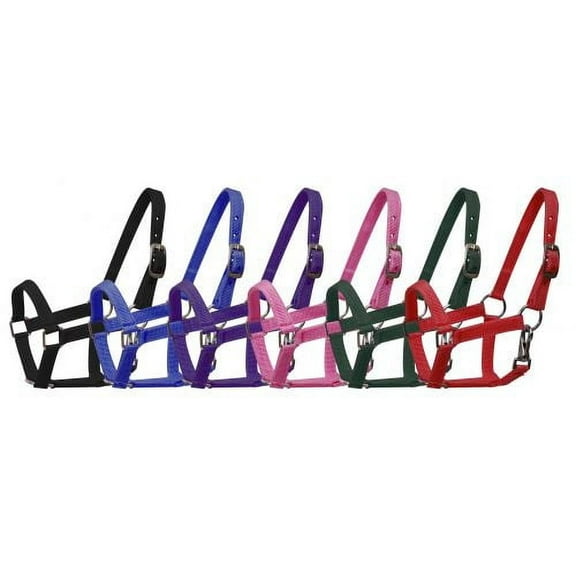 Small Pony Nylon Halter w/ Nickel Plated Hardware (Black)