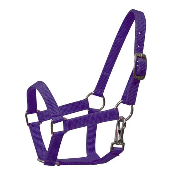 Small Pony Nylon Halter w/ Nickel Plated Hardware (Purple)
