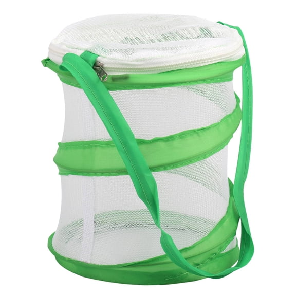 Small Praying Stick Insect Butterfly -up Cage Housing Enclosure