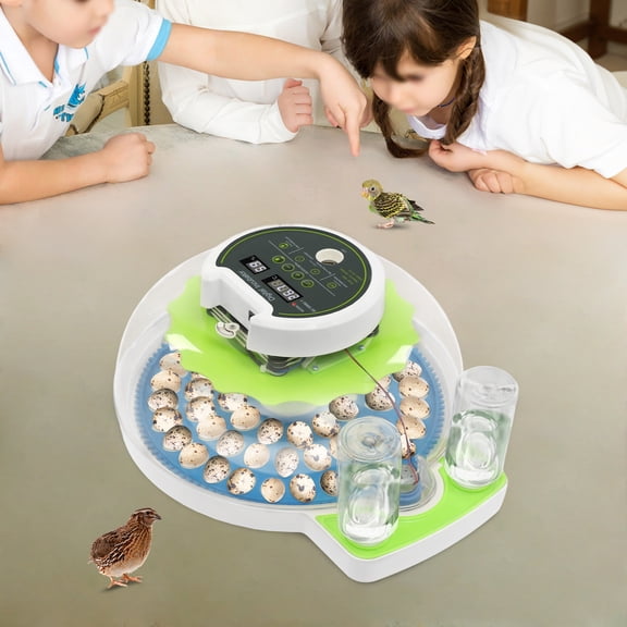Small Quail Brooder, Quail Egg Incubator for Hatching 60 Quail Eggs, Poultry Quail Incubato