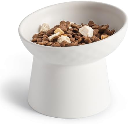 Small Raised Cat Bowls, Ceramic Tilted Elevated Food or Water Bowls, Stress Free, Backflow Prevention, Dishwasher & Microwave Safe, Lead & Cadmium Free, White