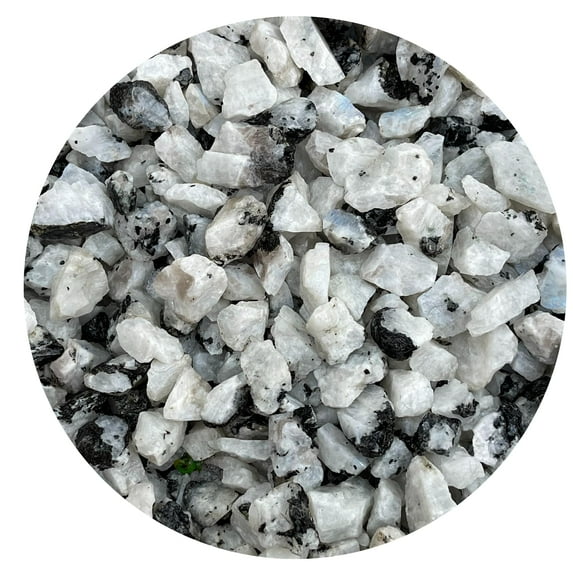 Small Rough Rainbow Moonstone Stones , 0.5-1.25" Raw Crystals (Rainbow Moonstone, 0.25 Pound)