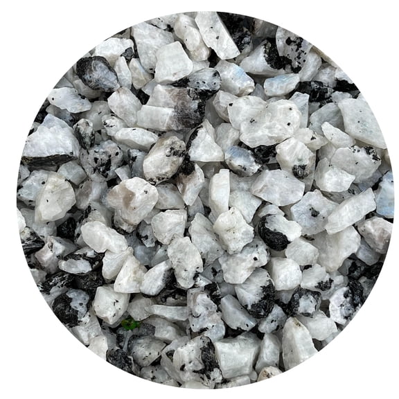 Small Rough Rainbow Moonstone Stones , 0.5-1.25" Raw Crystals (Rainbow Moonstone, 5 Pounds)