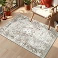 Small Rug Boho Area Rug Washable Tan Rugs for Bedroom Cute Rugs for