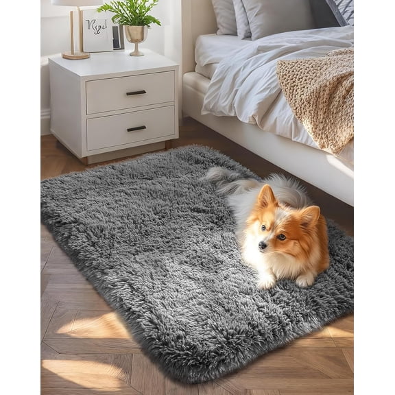 Small Rug Upgrade Non Slip Throw Bedside Area Rugs, Fluffy Soft Grey Mini Bedroom Carpet, Affordable Door Entryway Indoor Inside Front Entrance Dog 2x3 Mat, Home Decor Aesthc, Nursery