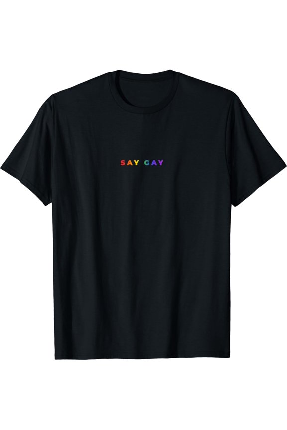 Small Say Gay Rainbow Subtle Pride Florida Equality LGBTQ T-Shirt