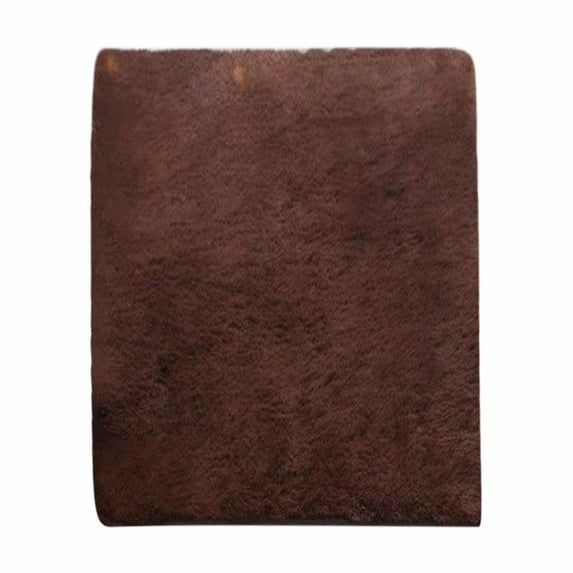 19x31 inch Small Shaggy Rug Plush Furry Area Rugs Super Soft Modern Bedroom Rug Carpet for Bedroom Floor Mats for Room Non Slip Carpet Hogar Decoracion for Bedroom, Dining Room, Dorm, office