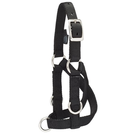 Weaver Leather Livestock Sheep & Goat Training Halter, Small, Black