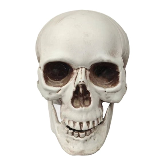 Small Skulls Halloween Decor, 2.76 Inch Plastic Fake Skeletons, Mini Skull Heads for Crafts and Outdoor Halloween Decorations, Realistic Human Skull Figurines, Seasonal Decor