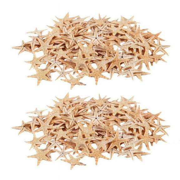 Small Starfish Star Sea Shell Beach Craft 0.4 inch-1.2 inch 180 Pcs