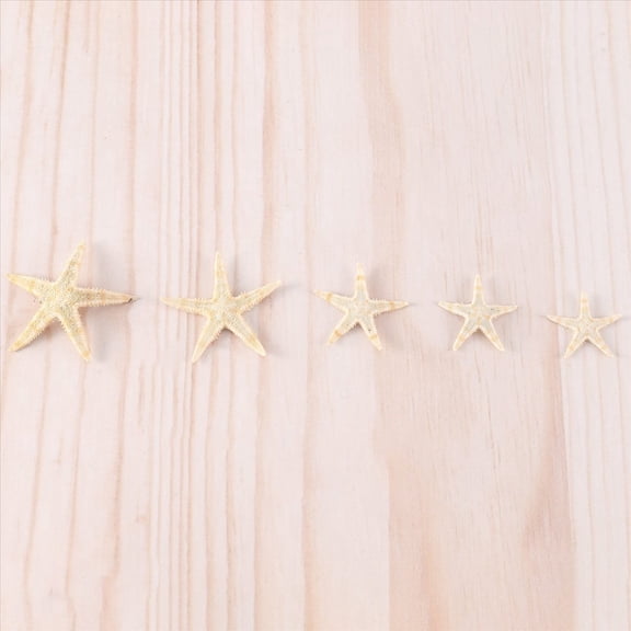 Small Starfish Star Sea Shell Beach Craft 0.4 inch-1.2 inch 90 Pcs
