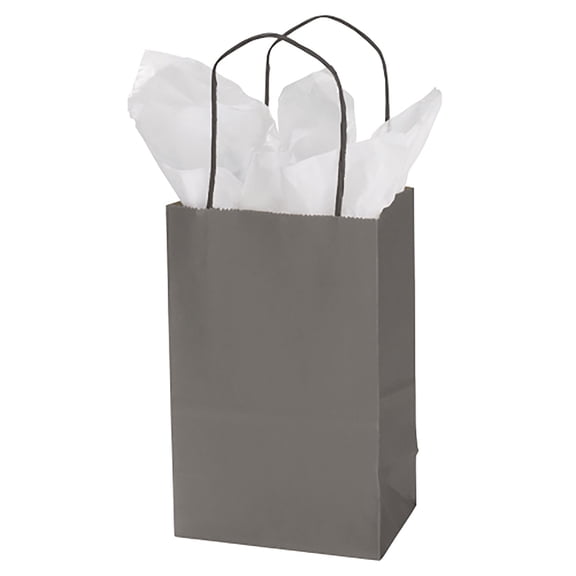 SSWBasics Small Storm Gray Paper Shopping Bags - 5 1/4 x 3 1/2 x 8 1/2 in
