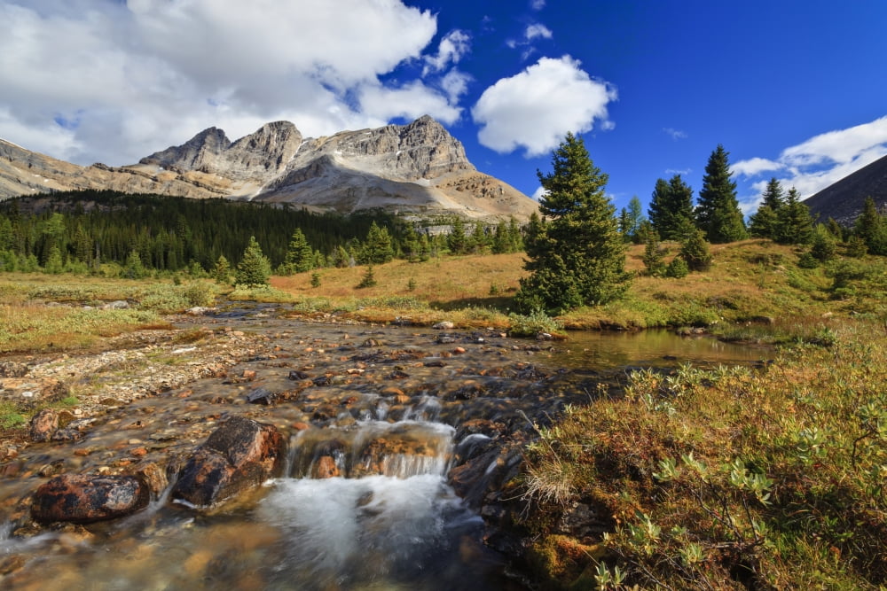 A Small Stream Enroute To Baker Lake Flows Through The Skoki Wilderness In Banff National Park Banff Alberta Canada Canvas Art - Ron Watts Design Pics (36 x 24)