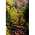 thumbnail image 1 of Small Stream Through Forest In Autumn Poster Print, 1 of 2