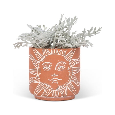 Small Sun Face Planter