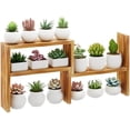 thumbnail image 1 of Small Table Top Plant Shelf,3 Tiered Windowsill Wood Plant Stand Indoor,Narrow Space Succulent Pot Stand Flower Rack for Bay Window Ledge (Wood Oil Coating), 1 of 7