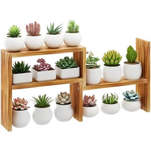 Small Table Top Plant Shelf,3 Tiered Windowsill Wood Plant Stand Indoor,Narrow Space Succulent Pot Stand Flower Rack for Bay Window Ledge (Wood Oil Coating)