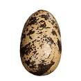 thumbnail image 1 of Small Theropod Dinosaur Egg Life Size Statue, 1 of 8