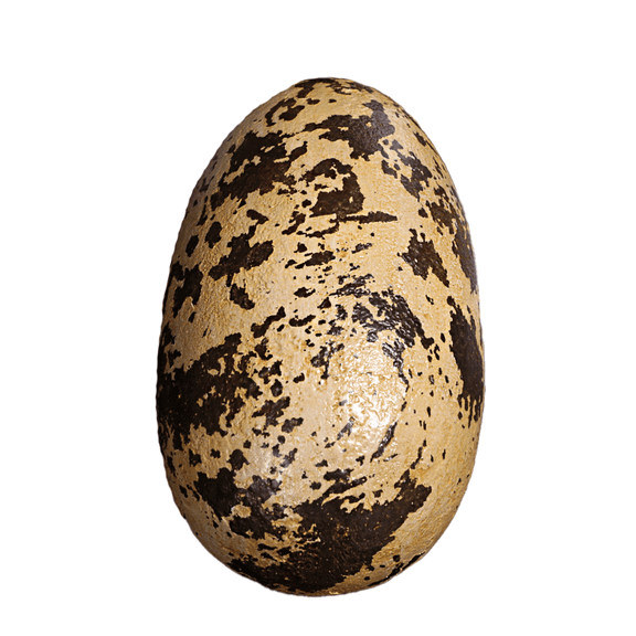 Small Theropod Dinosaur Egg Life Size Statue