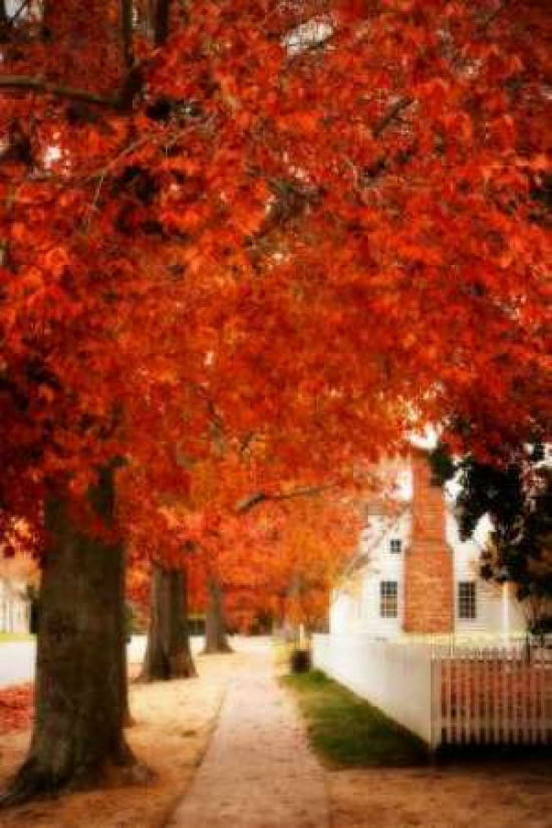 Small Town Autumn I Canvas Art - Alan Hausenflock (20 x 28)