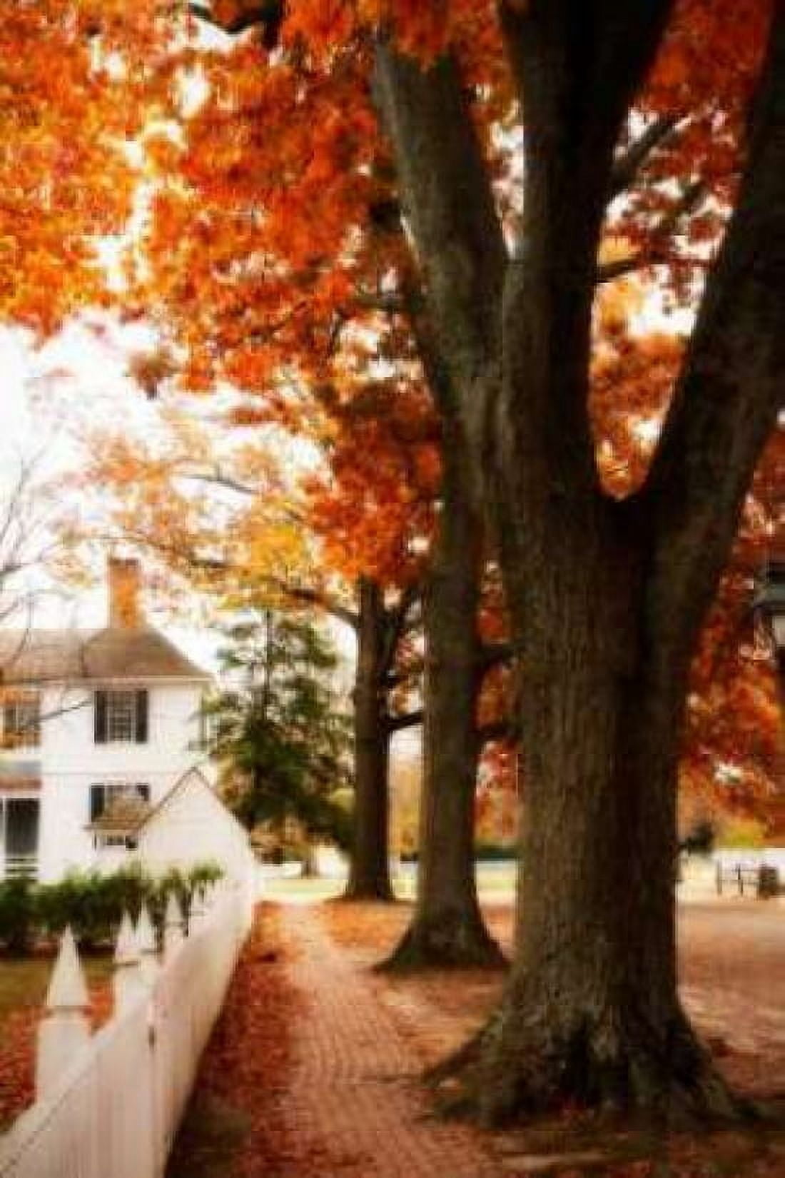 Small Town Autumn II Canvas Art - Alan Hausenflock (20 x 28)