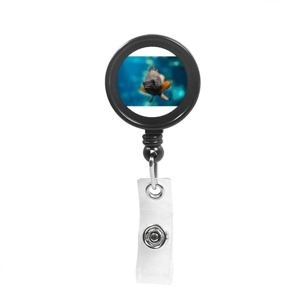 Small Tropical Fish Marine Organism Retractable Keychain Badge Holder ID Badge
