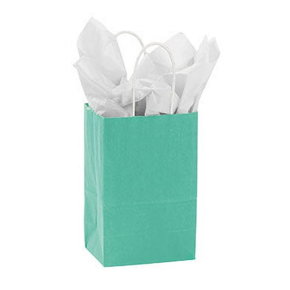 Small Turquoise Paper Shopping Bags - 5 ¼”L x 3 ½”D x 8 ½”H - Case of 100- Paper Bag with Handles - Perfect for Retail Use - Suitable as Gift Bags Gift Bags with Handles and Paper Bags with Handles