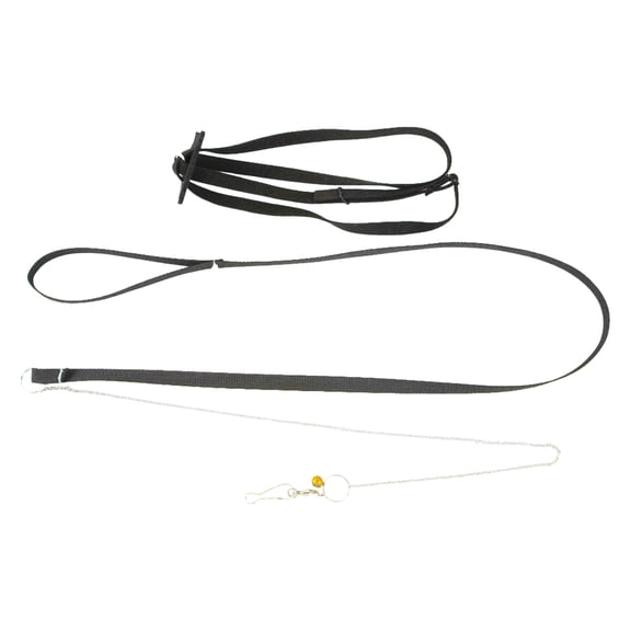 Small Turtle Leash and Harness for - Adjustable Control Rope for Tortoise Outdoor Walking Training Supplies