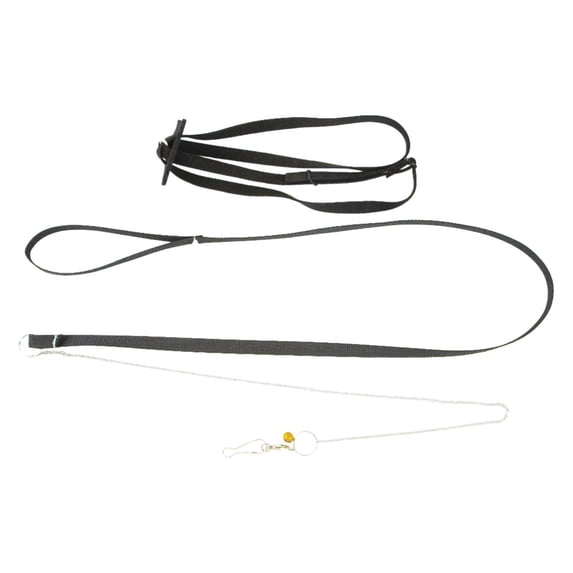 Small Turtle Leash - with Adjustable Size and Whistle,for Outdoor Walking and Training,Made of Suede