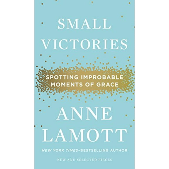 Pre-Owned Small Victories: Spotting Improbable Moments of Grace (Hardcover) 1594486298 9781594486296
