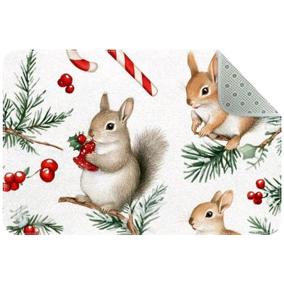 Small Washable Kitchen Rug, Christmas Squirrel Fir Branch Candy Cane Indoor Door Mats for Entryway, Non Slip Area Rug Floor Carpet for Entrance Bathroom Bedroom