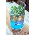 thumbnail image 1 of Small Water Lettuce - 1.5-3" - Floating Live Pond Plants for indoors or outdoors, 1 of 1