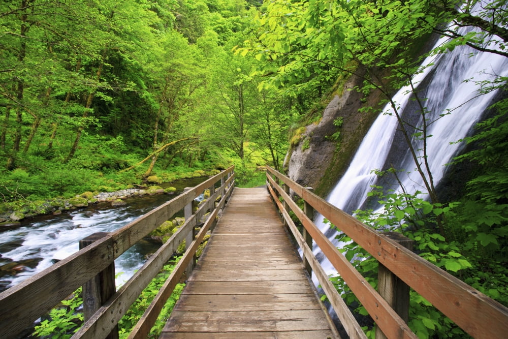 Small Waterfall Along Tanner Creek In Columbia River Gorge National Scenic Area In The Pacific Northwest Oregon United States of America Canvas Art - Craig Tuttle  Design Pics (19 x 12)