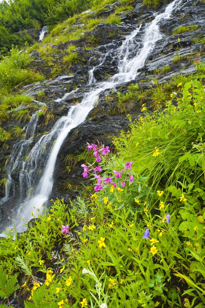Small Waterfall Near The Coastline Of Shoup Bay In Prince William Sound Alaska Canvas Art - Michael DeYoung Design Pics (22 x 34)