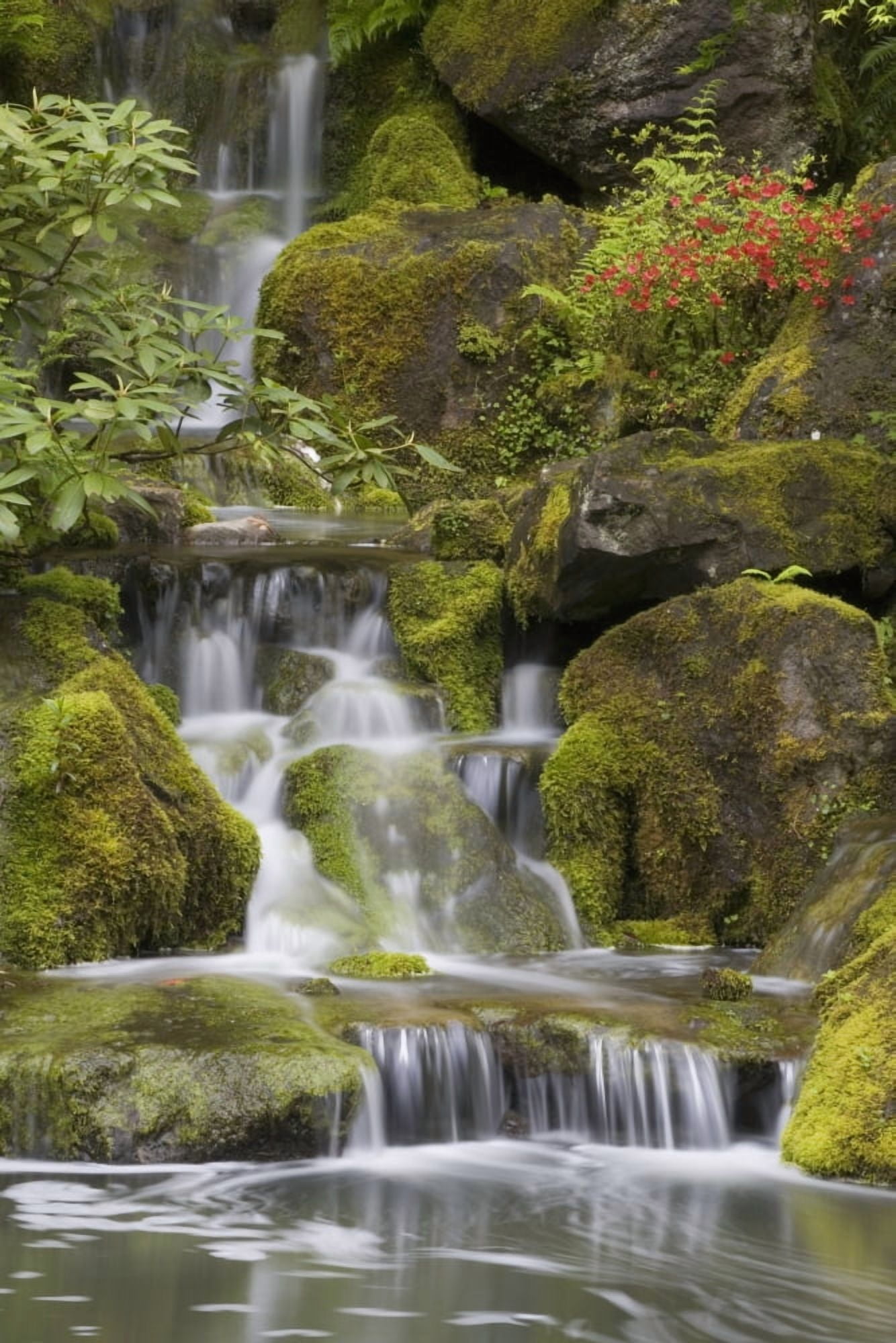 Small Waterfalls Along Moss Covered Rocks Portland Oregon United States of America Canvas Art - Michael Interisano Design Pics (12 x 18)