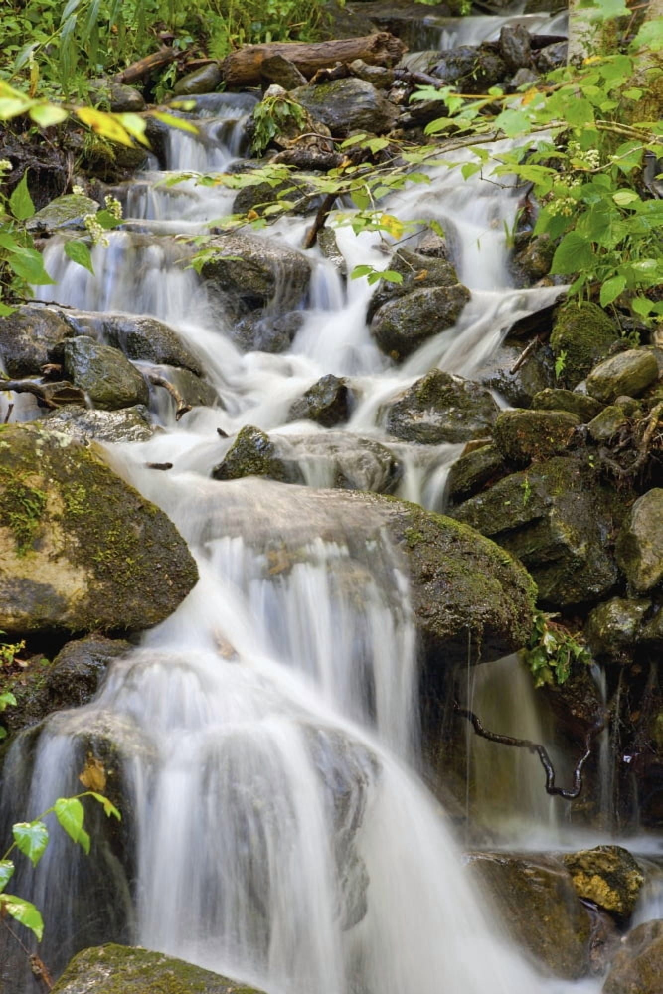 Small Waterfalls And Brook West Bolton Quebec Canada Canvas Art - David Chapman Design Pics (12 x 19)