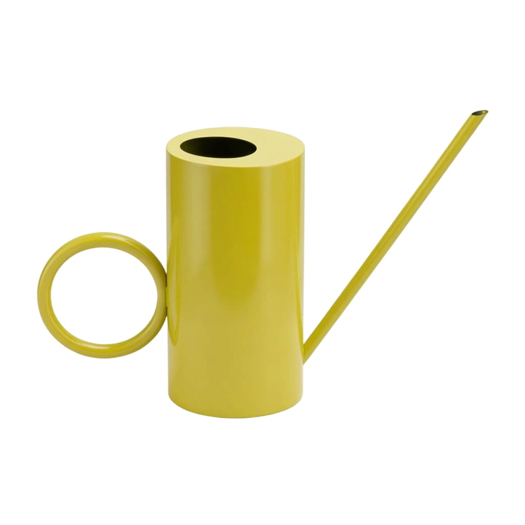 Small Watering Can for Indoor Plant Long Spout Watering Can for House Plant Flowers Succulents