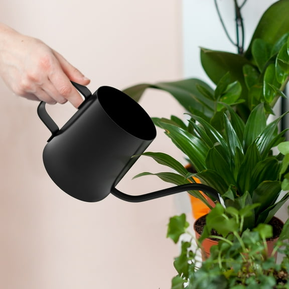 Small Watering Can for Indoor Plants 12oz/350ml Rustproof 304 Stainless Steel Plant Watering Can with Ergonomic Handle for House Plants