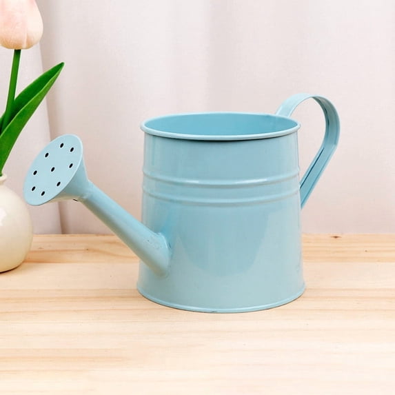 Small Watering Can for Indoor Plants Metal Houseplant Water Can with Handle for Home Office Garden Light Blue