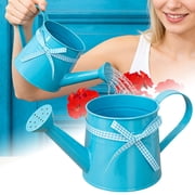 Small Watering Can for Indoor Plants, Mini Indoor Watering Can with Long Spout and Handle 35 oz / 1000 ml Rust Proof,Blue