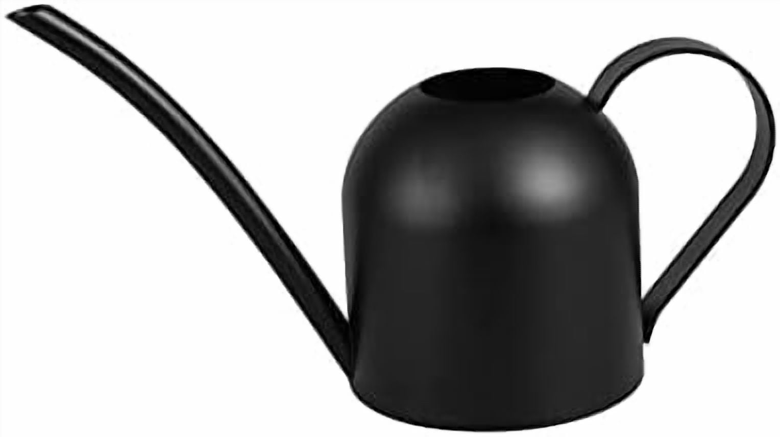 Small Watering Can for Indoor Plants Stainless Steel Watering Can with Long Spout 15oz/450ml, (Black)