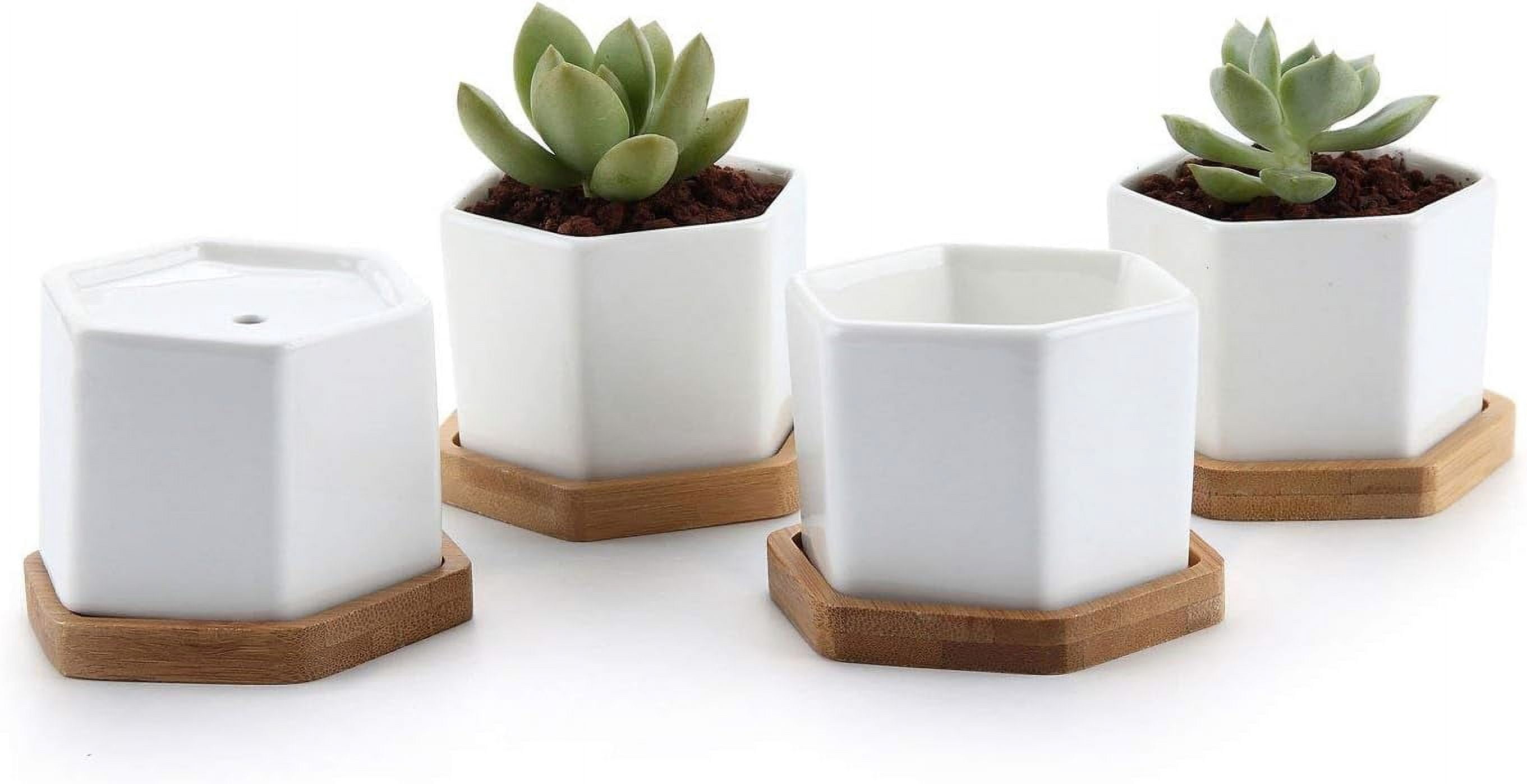 Small White Succulent Planter Pots with Bamboo Tray Hexagon Set of 4 ...