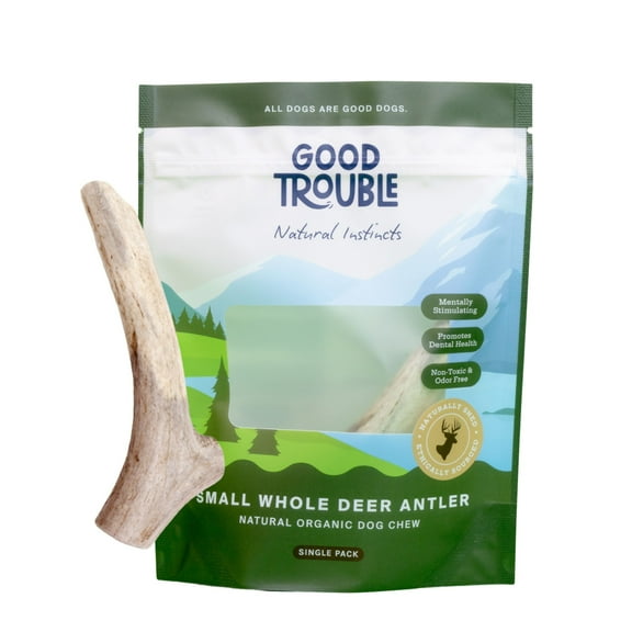Small Whole Premium Wild Deer Antler Bone for Dogs by Good Trouble Pets