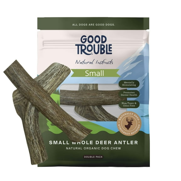 Small Whole Premium Wild Deer Antlers (2-Pack) Bones for Dogs by Good Trouble Pets